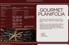 Dried Vanilla Beans – product photo 3, product detail gallery