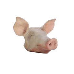 BEST Frozen Pork Head in Cheap price For Sale HIGH QUALITY FROZEN Pork Head READY FOR SHIPMENT BRAZIL ORIGIN Brazil Frozen Pork Head for sale Frozen Front Pork Head grade Cheap frozen meat halal pork meat Wholesale Frozen Pork Head for sale BEST Frozen Pork Head in Cheap price For Sale HIGH QUALITY FROZEN Pork Head READY FOR SHIPMENT BRAZIL ORIGIN Brazil Frozen Pork Head for sale Frozen Front Pork Head grade Cheap frozen meat halal pork meat Wholesale Frozen Pork Head for sale - Image 3