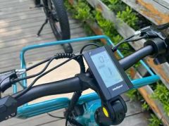Adult Fashion Color Cargo Bike 500W Rear Hub Motor - Image 5