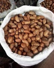 Top Fresh Organic Bitter kola Nuts Available Drying Process raw Max. Moisture (%) 5% Crude Protein 8.06%* Moisture Content 9% Max - Image 1