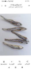Dried Fish - Image 2