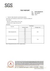 SGS certificate from Feiyue New Materials Technology Co., Ltd