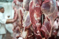 Premium Halal Mutton & Beef Cuts – Fresh & Frozen Technique Halal Type Mutton / Beef Storage Type -18°C or below Grade A Grade – Export - Image 1