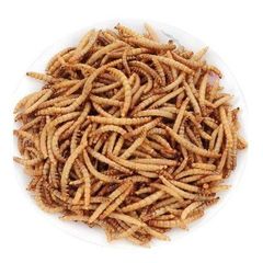 dried mealworm - Image 4