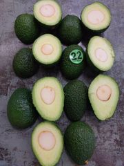 Fresh Hass Avocado - Image 4