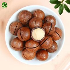 Premium Macadamia Nuts |Premium Macadamia Kernels|Extra Virgin Macadamia Oil & Refined  | Bulk Macadamia Nuts & Kernels – product photo 1, product detail gallery