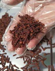 Clove - Image 1