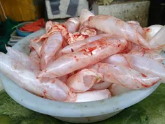 Fish maw powder - Image 1