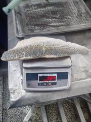 Frozen Mullet Fillet - Image 2