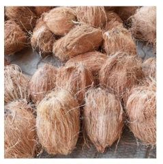 Dry Coconuts Semi Husked Coconut With High Quality Dried Coconut Organic Tropical Fruits - Image 1