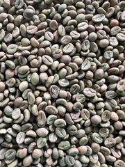 Green Coffee Beans – product photo 2, product detail gallery