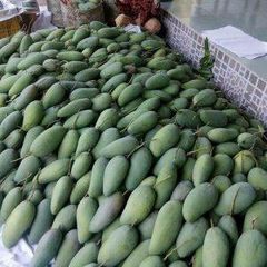 FRESH MANGO - Image 1