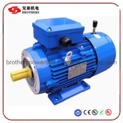 Yej Y2ej2 3kw Series DC Brake Motors Brand Bro Trademark BRO Origin Ningde Function Driving Model NO. YEJ-90S HS Code - Fuding Brothers Power Co., Ltd.