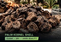 palm kernel shell - Image 1