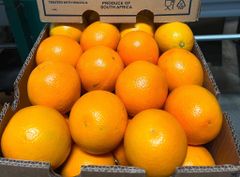Premium Navel Oranges from South Africa! CLASS 1 Export Quality! NEW CROPS!! Excellent packing - Image 5