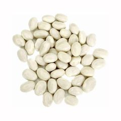 Premium white kidney beans in stock for bulk purchase with inter-national shipping - Image 2