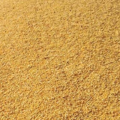 Animal & Cattle Feed