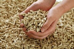 Premium Poplar Wood Pellets 6mm 8mm Low Ash / High Calorific Value Biomass Pellets for Efficient Home Heating Systems - Image 2