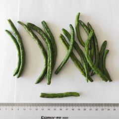 High Quality Vf Cowpea Wholesale Origin China Trademark OEM Packaging Box Model NO. SF-159 Specification whole Production Capacity 500 Tons Per - Image 2