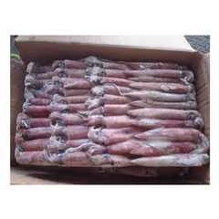 Good Quality Cheap Price Frozen Whole Loligo Squid For Export - Image 3