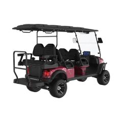 6seater-Good Quality-Electric Hunting Golf Car Offroad-Lsv-Golf Cart Buggy-ODM-Golf with Curtis AC-Controller-48V/72V Motor-Driver - Legend EV Co., Ltd.