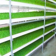 Hydroponics Greenhouse Fodder Gutter Channel Tray Growing System Container - Image 4