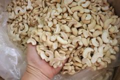 Cashew Nuts (W180,210,240,320) – product photo 1, product detail gallery