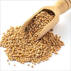 Spices Factory Wholesales high-quality kitchen seasonings mustard seeds yellow mustard seeds dried mustard with low price – product photo 6, product detail gallery