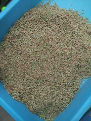 Indian Rice (Basmati, Non-Basmati, Paddy, Parboiled/Sella) – product photo 1, product detail gallery