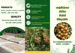 fresh longan Flavor Sweet Texture Crunchy Origin thailand Weight (kg) 12.5 KG. Processing Type Well-ventilated Taste Sweet, crunchy, and delicious - Image 5