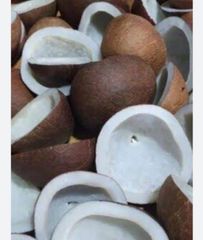 Semi Husk Coconut – product photo 5, product detail gallery