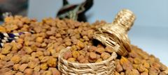 2024 New Crop Ethiopian Origin Desi Chickpeas Premium Quality Bulk Dried Machine Cleaned and Polished Kabuli Type - Image 2