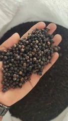 Black pepper – product photo 1, product detail gallery