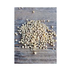 NON GMO Soybean Available for Cheap Price / High Quality Soybean/Premium Quality Non-GMO Yellow SoyaBeans - Image 2