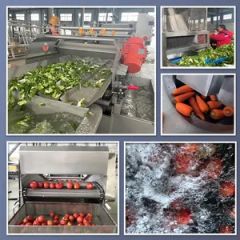 Strong Quality Vegetable Washing Equipment Sweet Potato Washing Machine - Image 2