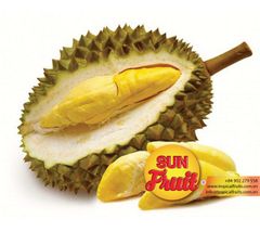 Fresh Durian Good Price - Image 1