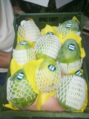 Egyptian Mango - Image 2