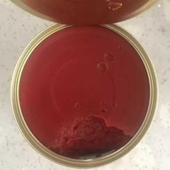 210g Tomato Paste/Essential 800g Canned Tomato Paste/High Quality Canned Tomato Paste Supplier – Drum & Can Packagin – product photo 3, product detail gallery