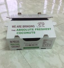 KWS Easy open coconut fresh Coconuts With Easy Open Style Fresh Color Brown Type Coconut Grade Premium Brand Name KWS Address - Image 2