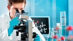 Chemical  Testing Services Duration 3 Days Service Mode Offlne Chemical Type In-Organic Report Soft And Hard Copy Service Location Pan - Image 1