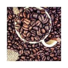 Coffee Beans cheap price bulk supply wholesale fast delivery – product photo 4, product detail gallery