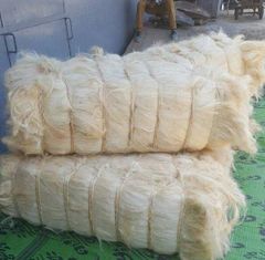 Jute Fiber
