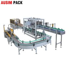 Automatic Low Cost Case Packer Carton Case Packing Machine - Image 2