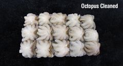 Frozen Cleaned Octopus – Whole, Bulk Supply – product photo 1, product detail gallery