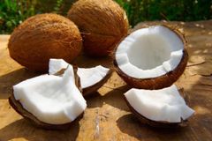 Big Sale - Vietnam Fresh Coconut-/Dried semi-coconut/ Desiccated Coconut fruit export USA,UK, EU market – product photo 2, product detail gallery