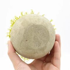Fast Delivery Simple Plastic Artificial Plants Potted - Image 6