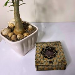 Saffron - Image 3