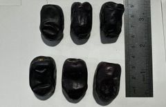 Dates – product photo 1, product detail gallery