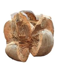 Wholesale Coconut Husk For Distribution - Image 4