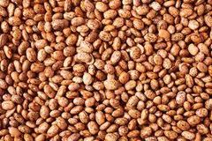 Pinto beans for sell Grade A Flavor Earthy Origin Germany Texture Creamy Shelf Life 24 MONTHS Place of Origin GERMANY Color Uniform Light Brown When Cooked - Image 5